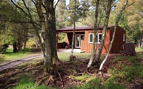 The Cabin At Easter Arr
