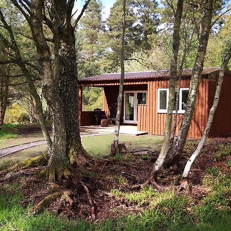 The Cabin At Easter Arr Auldearn Exterior photo